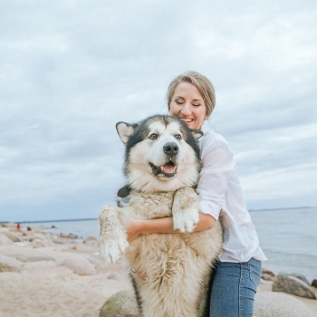 Adiestramiento Canino.