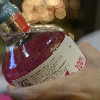 Modestia Aparte es un gran mezcal.