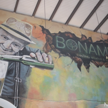 Bonampak abre sus puertas.