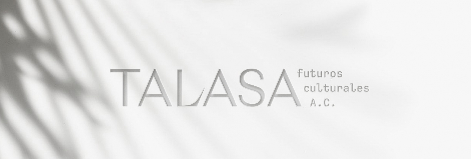 Nace Talasa, una organización civil para garantizar los derechos culturales en Yucatán