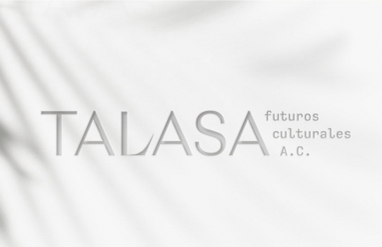 Nace Talasa, una organización civil para garantizar los derechos culturales en Yucatán