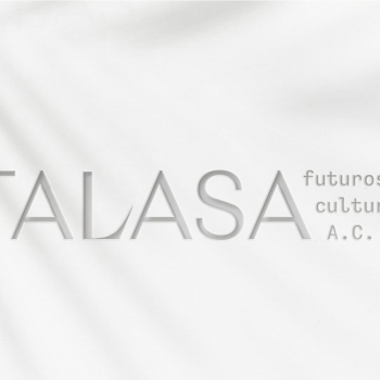 Nace Talasa, una organización civil para garantizar los derechos culturales en Yucatán