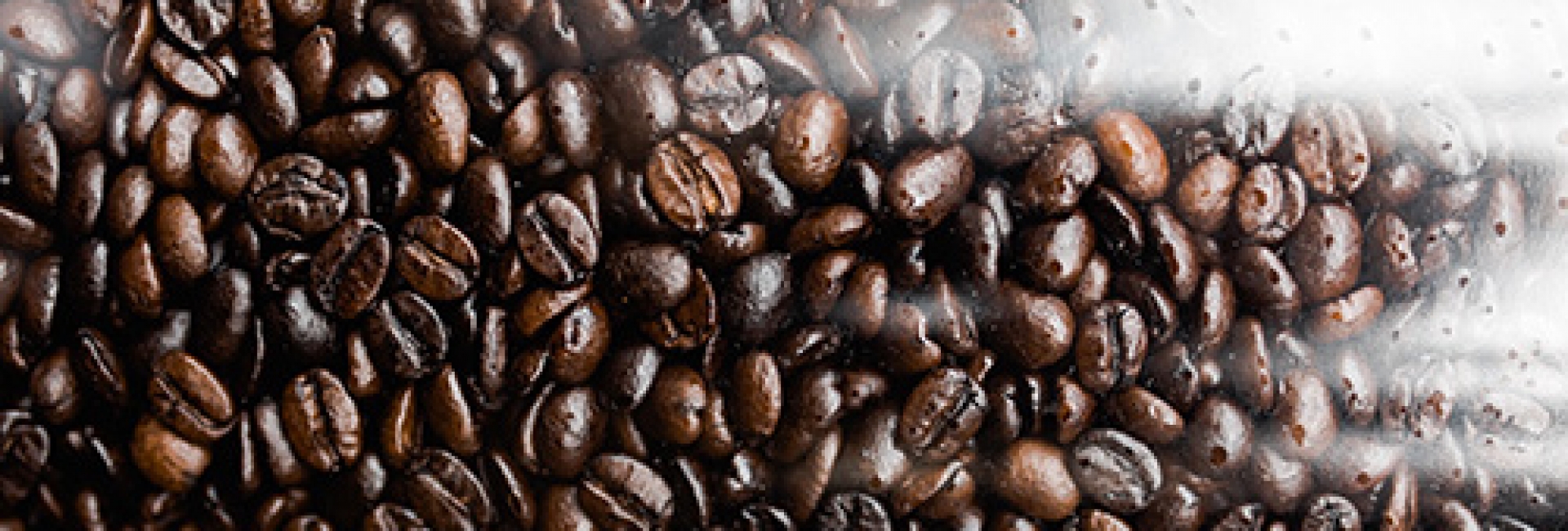 Tianguix, experiencias que acercan a México y el mundo.