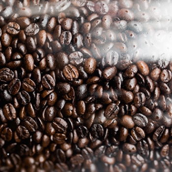 Tianguix, experiencias que acercan a México y el mundo.