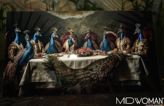 “Plumage” por Pipe Gaber.