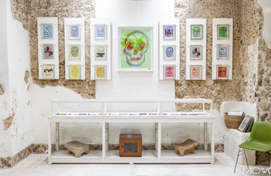 Soft Opening de La Galería Slow