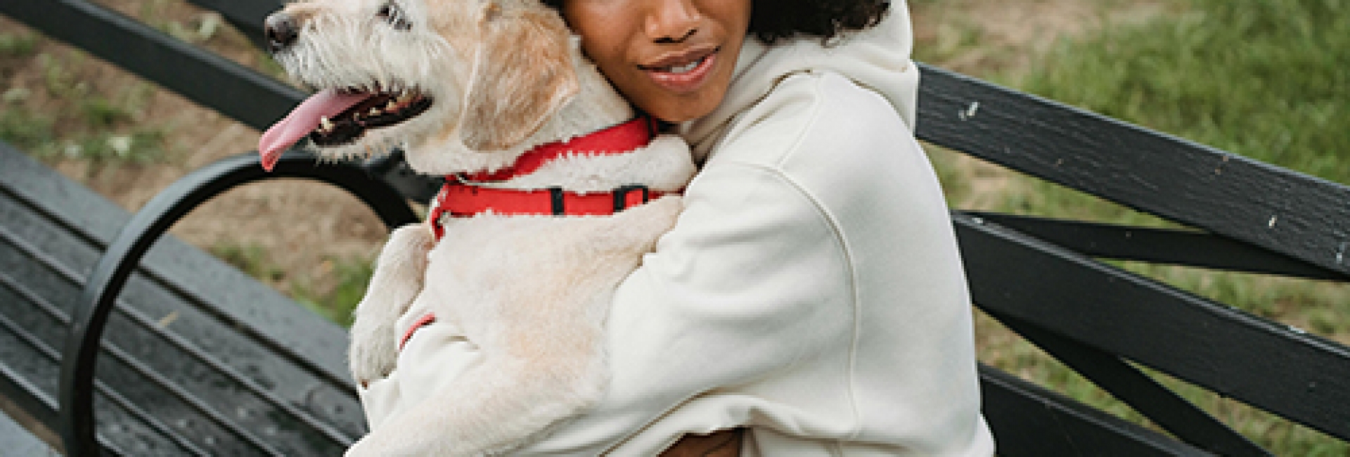 Mascotas de apoyo emocional y todo lo que conlleva.