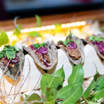 Taco Fest: Una Fiesta de Sabor en Yucatán