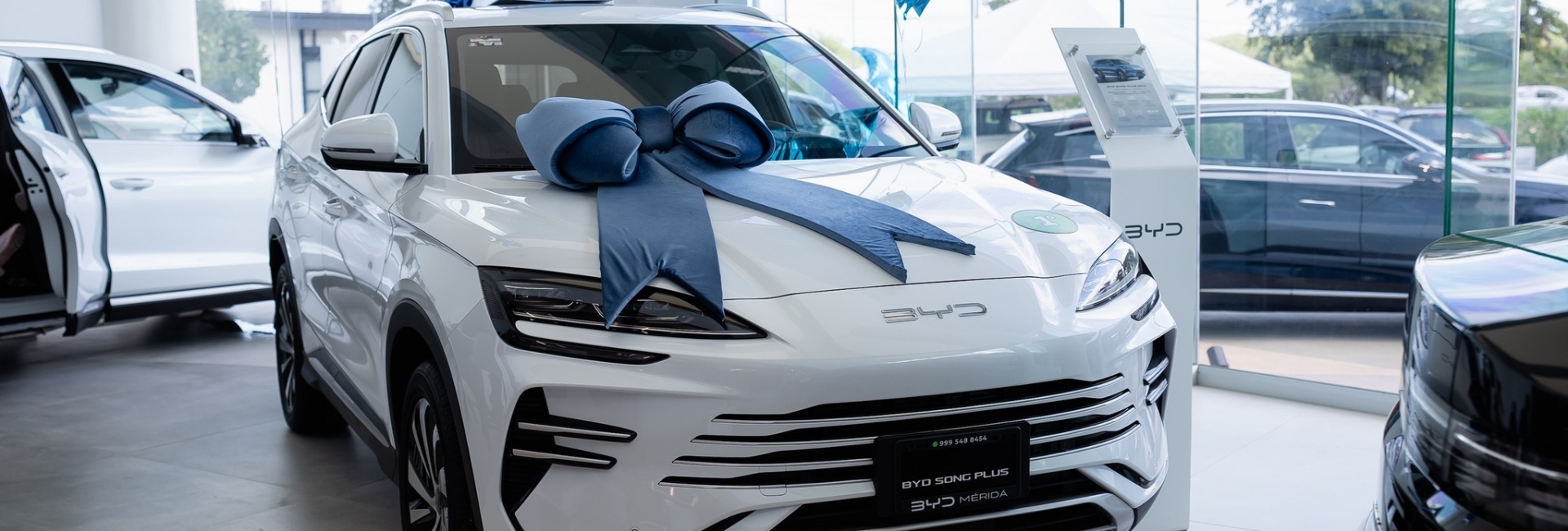 BYD y su Electro Fest de fin de año.