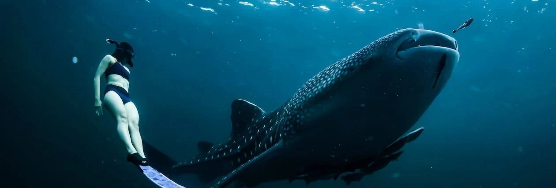 Experiencias de viaje únicas en México