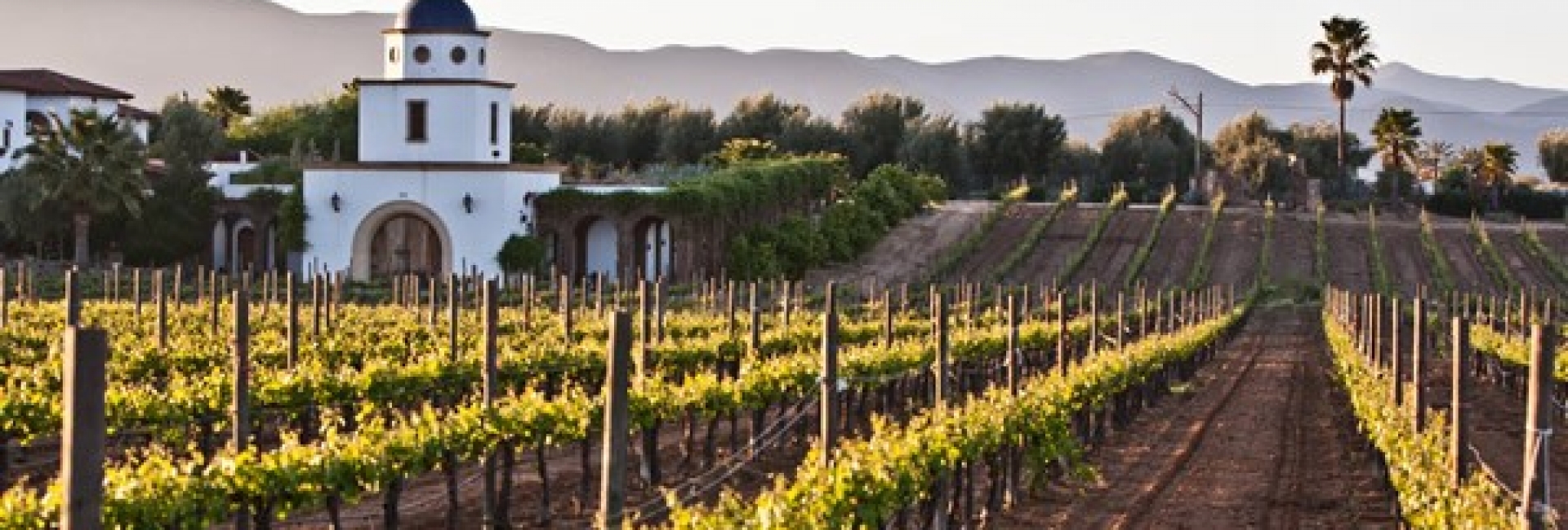 Valle de Guadalupe.